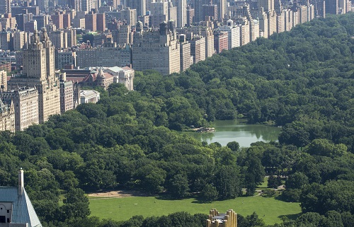 Marathon im Big Apple: Ziel ist der Central Park, eine wunderschöne Grünfläche umgeben von Wolkenkratzern