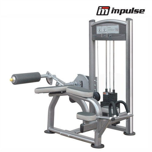 Impulse Fitness Proone leg curl IT9321 ( 91 kg )