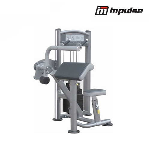 Impulse Fitness Arm extension IT9323 ( 68 kg)