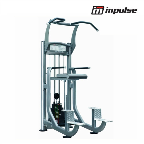 Impulse Fitness Chin / Dip Combo IT9320 ( 91 kg )