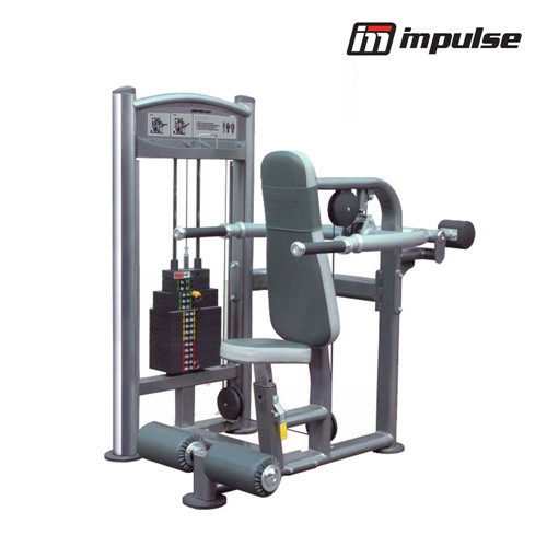 Impulse Fitness IMPULSE Seated Dip IT9317 ( 91 kg )