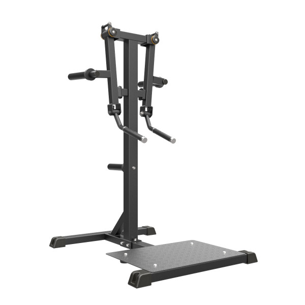 IMPULSE FITNESS Standing Lateral Raise IFP1103-WX