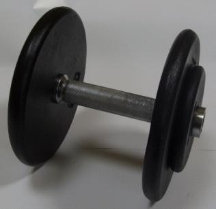 Kompakthanteln Guss 20 kg